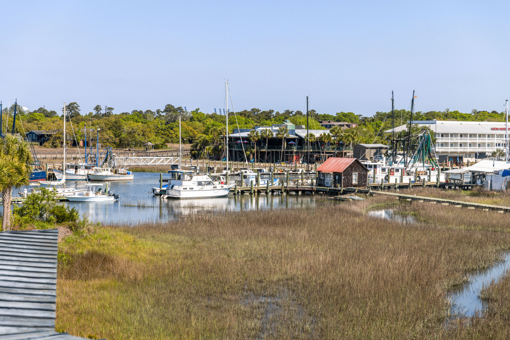 Shem Creek haddrell